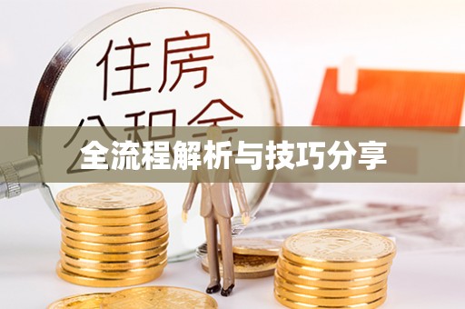 化隆全流程解析与技巧分享